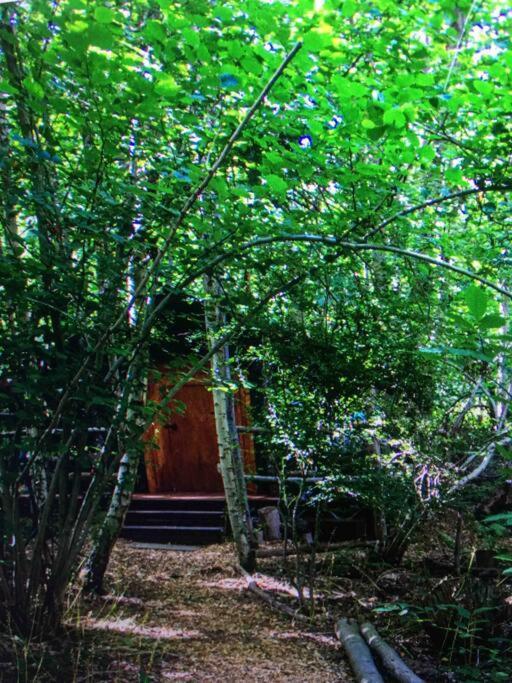 Cosy Woodland Romantic Retreat With Log Fires And Nature Sturry Dış mekan fotoğraf
