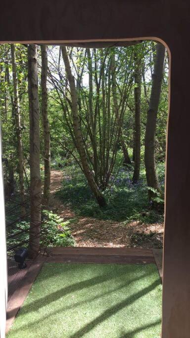 Cosy Woodland Romantic Retreat With Log Fires And Nature Sturry Dış mekan fotoğraf